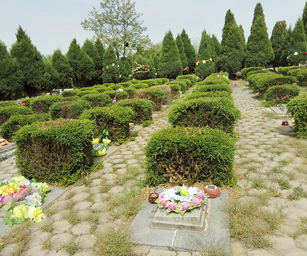双龙山旅游墓园